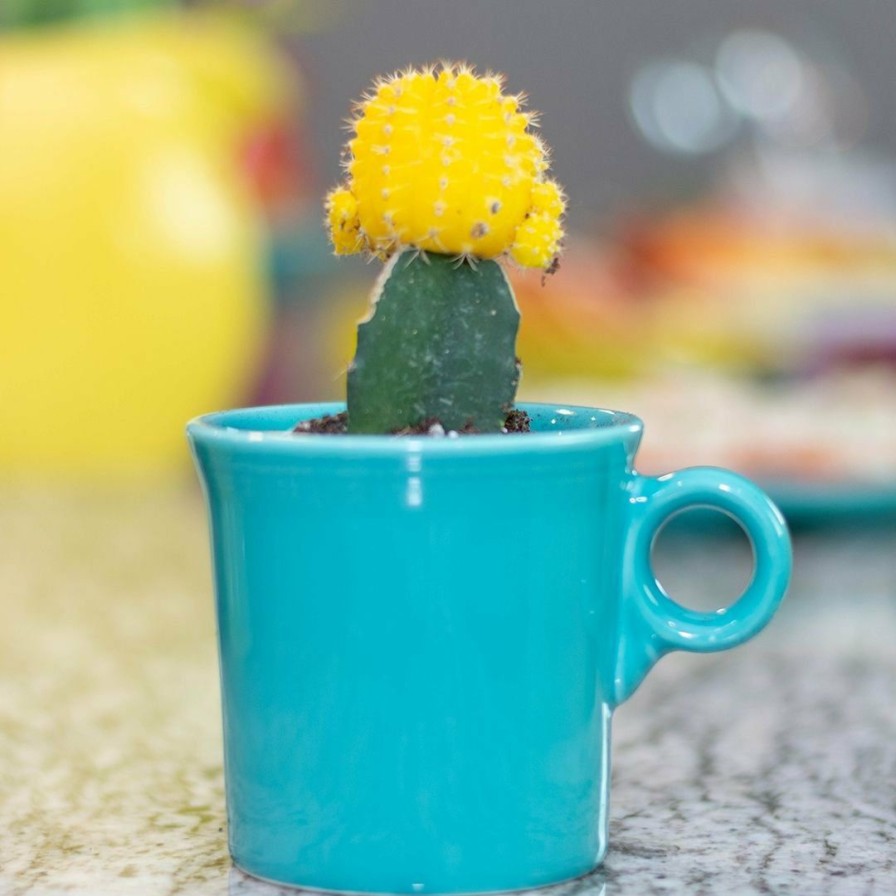 Glassware & Tabletop * | Fiesta 10.25Oz Coffee Mug | Turquoise