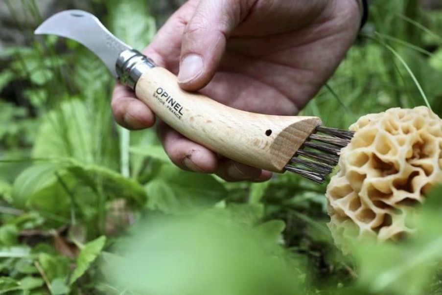 Cooks' Tools * | Opinel No.8 Mushroom Knife