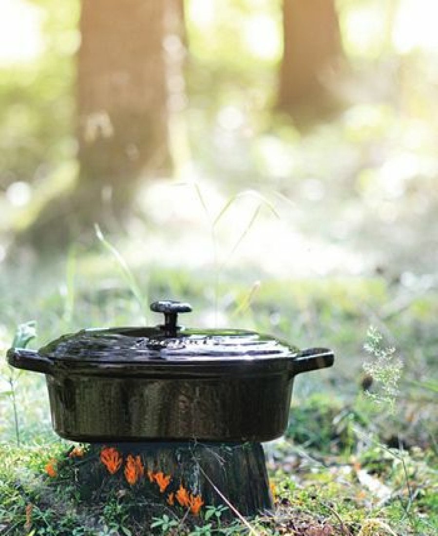 Kitchen * | Berghoff Neo Cast Iron Round Covered Casserole, 4.8 Quart Brown