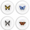 Glassware & Tabletop * | Bamboo Table 4-Piece Plate Gift Set | Butterflies