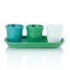 Glassware & Tabletop * | Fiesta Windowsill Garden Set | Cool