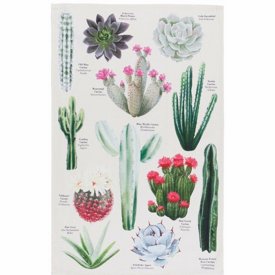 Glassware & Tabletop * | Danica Brands Now Designs By Danica 18 X 28 Printed Dishtowel | Botanical Cacti